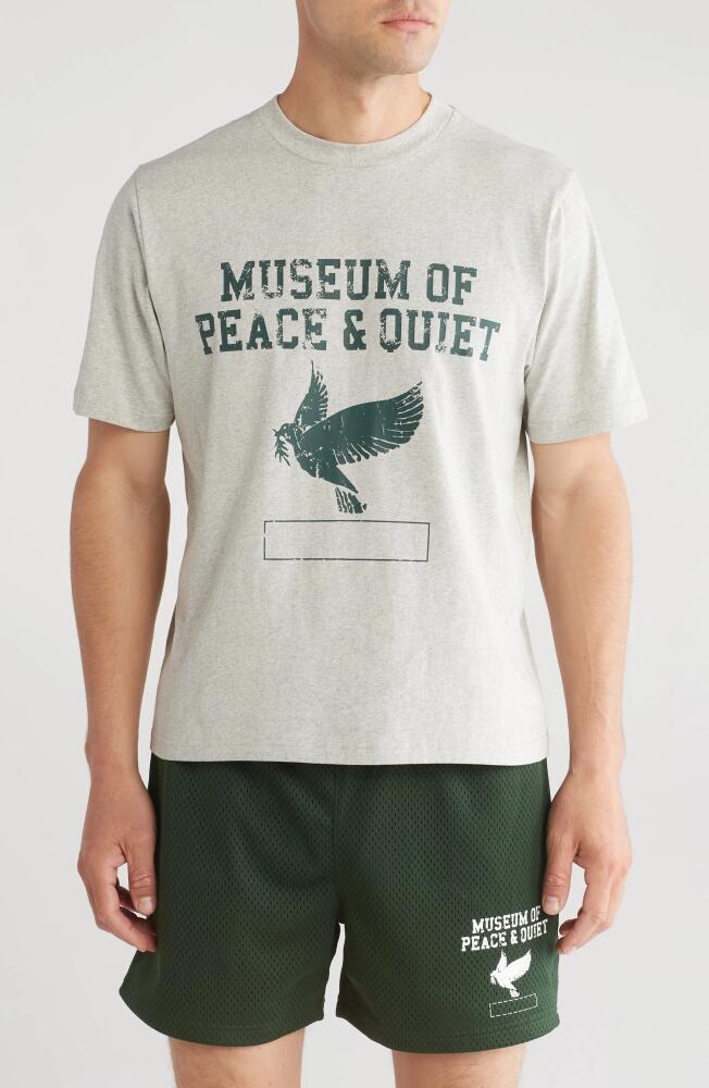 Museum of Peace & Quiet P. E. Graphic T-Shirt in Heather Cover