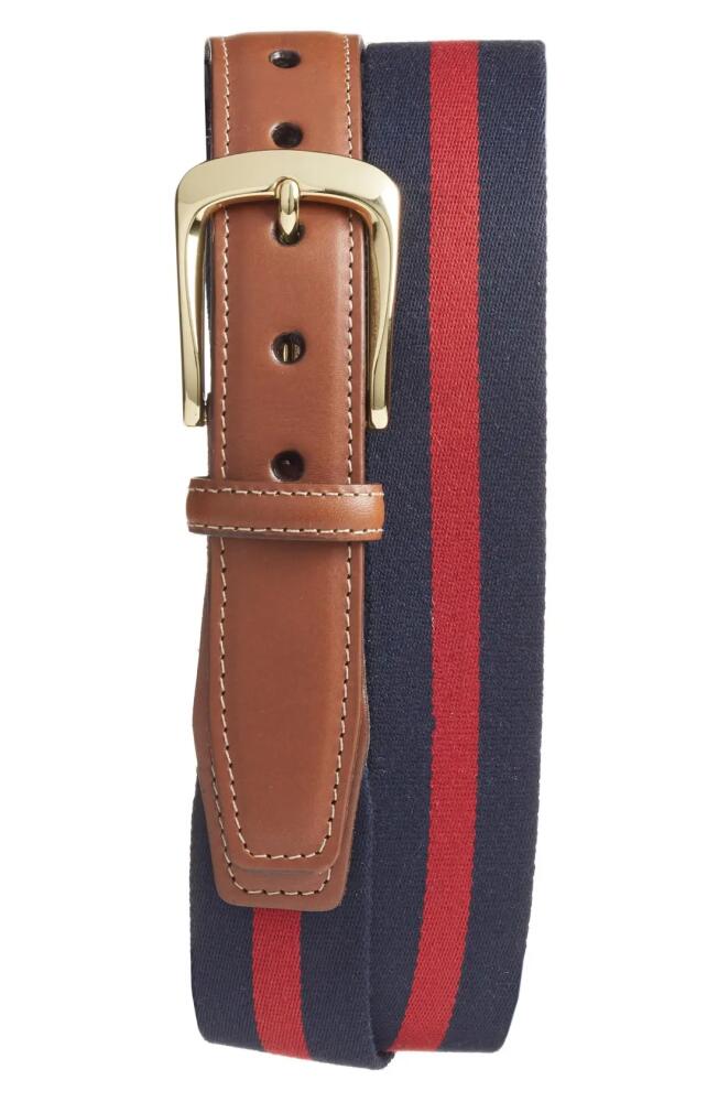 Torino European Surcingle Belt in Navy/Red Cover