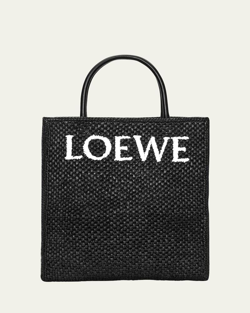 Loewe Standard A4 Logo Raffia Tote Bag Cover