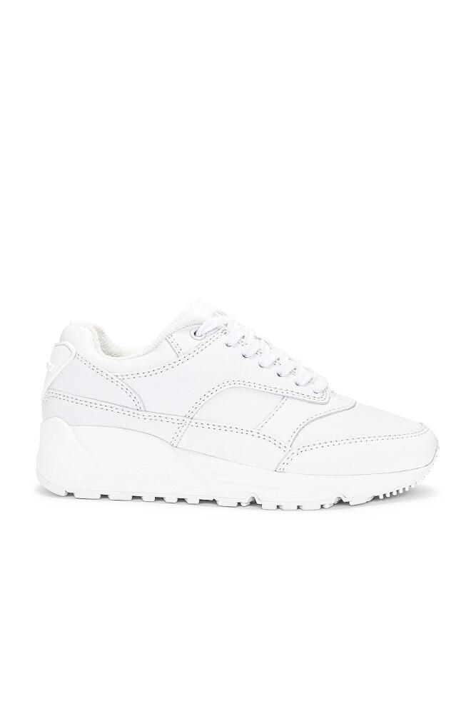 Saint Laurent New Sneaker in White Cover