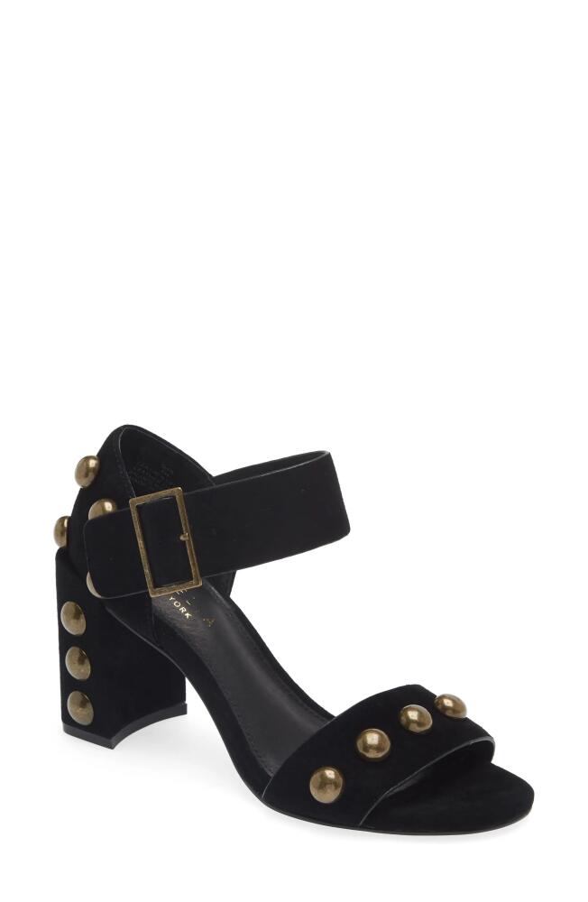 Cecelia New York Gail Stud Sandal in Black Suede Cover