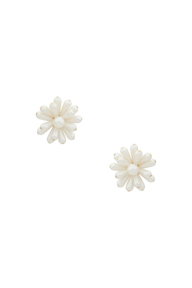 Cult Gaia Jules Earring in Cream Cover