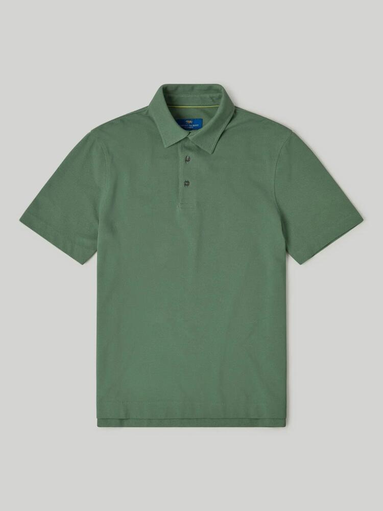 Robert Talbott Walker Short Sleeve Polo in Forest Green Cover