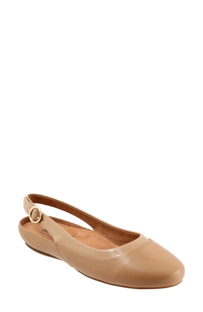 SoftWalk® Sheffield Slingback Flat in Beige Cover