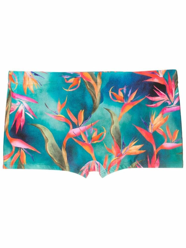 Lygia & Nanny bird of paradise-print boxer swimming trunks - Blue Cover