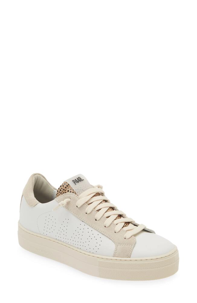 P448 Thea Platform Sneaker in Whi-Beolat Cover