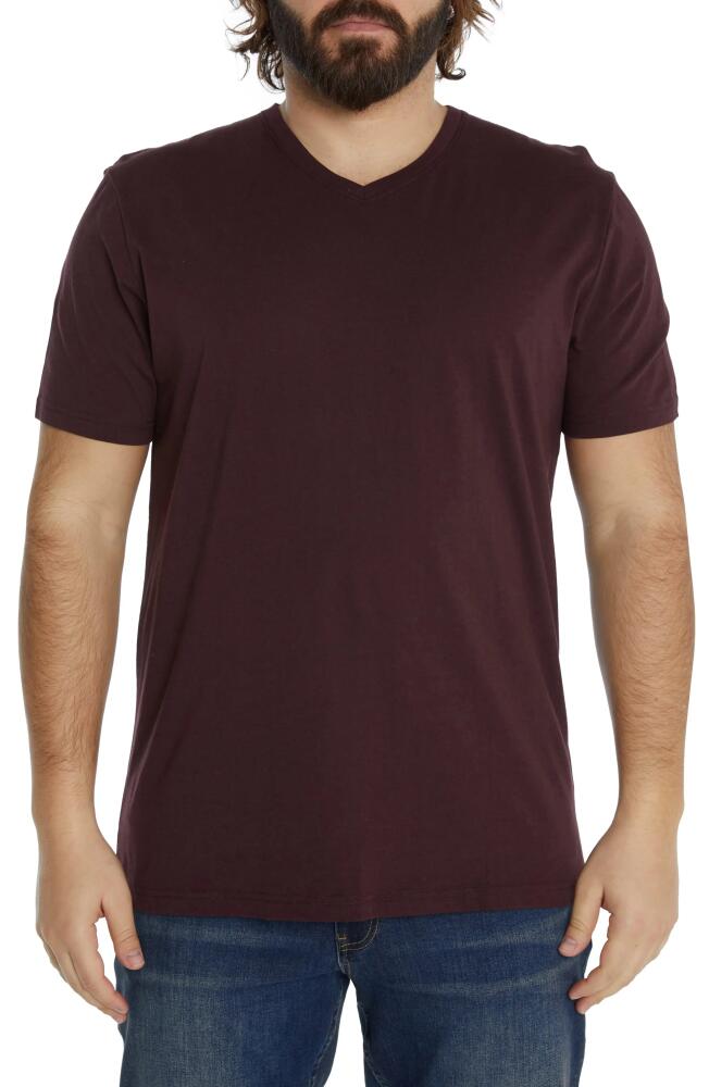 Johnny Bigg Essential V-Neck T-Shirt in Burgundy Cover