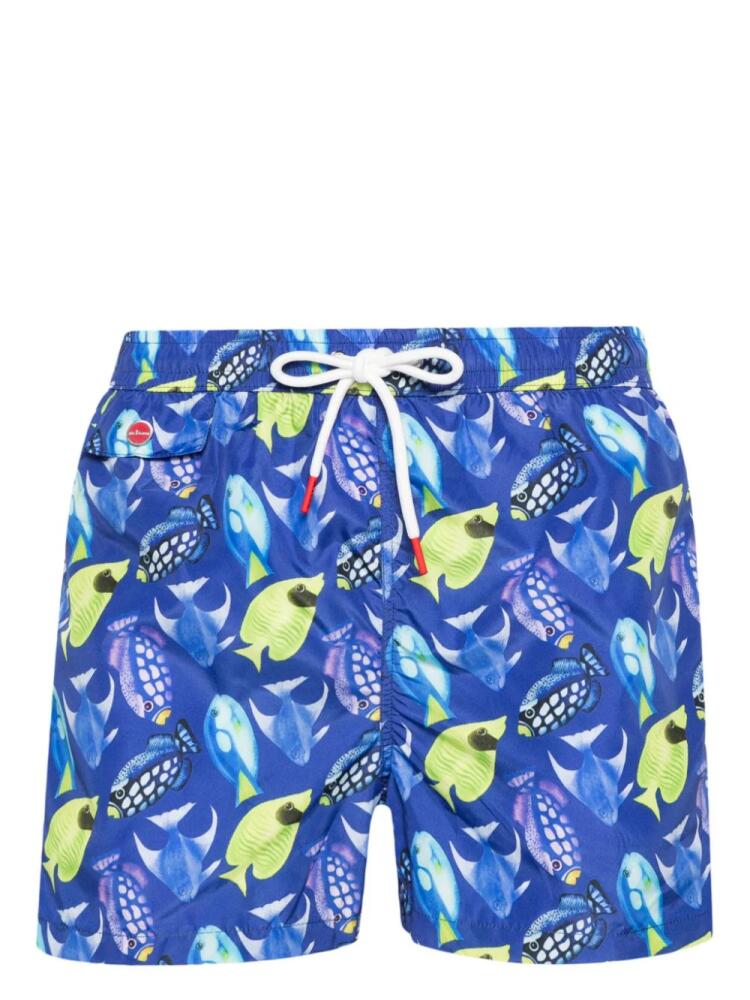 Kiton fish-print swim shorts - Blue Cover