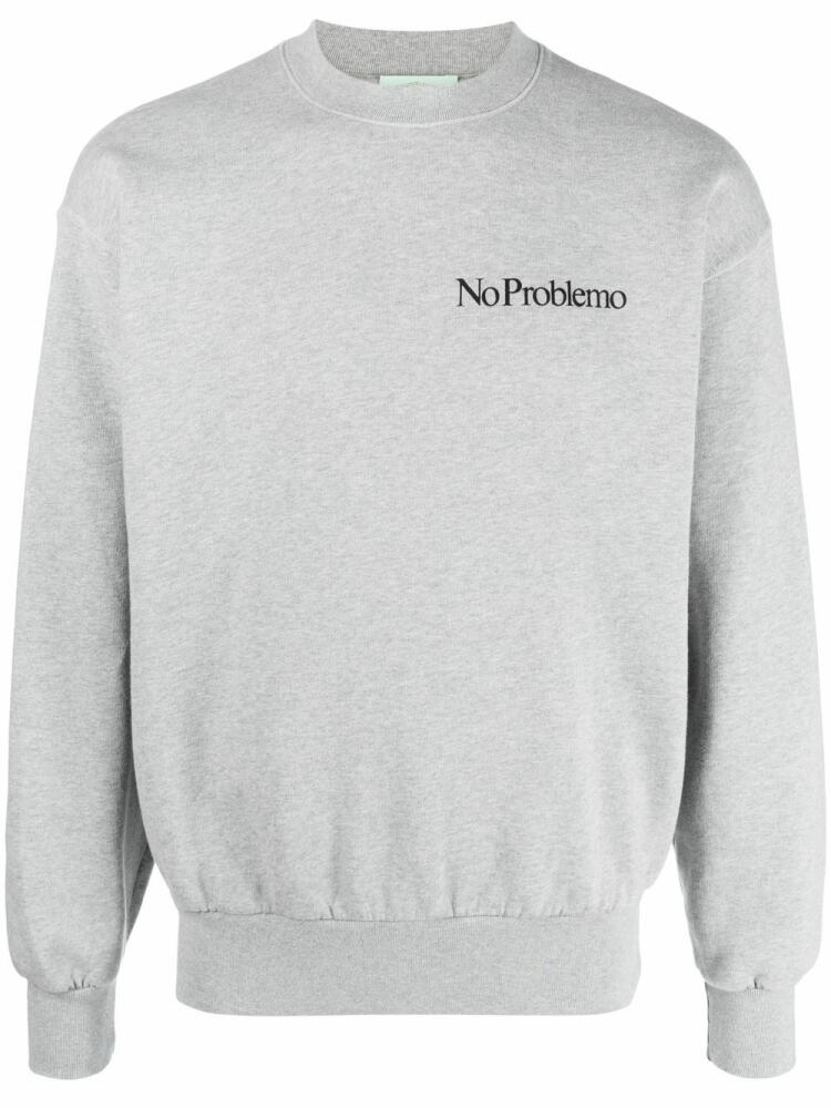 Aries logo print sweatshirt - Grey Cover