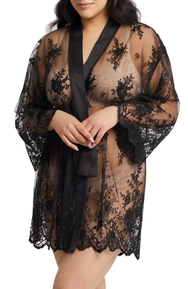 Rya Collection Darling Lace Wrap in Black Cover