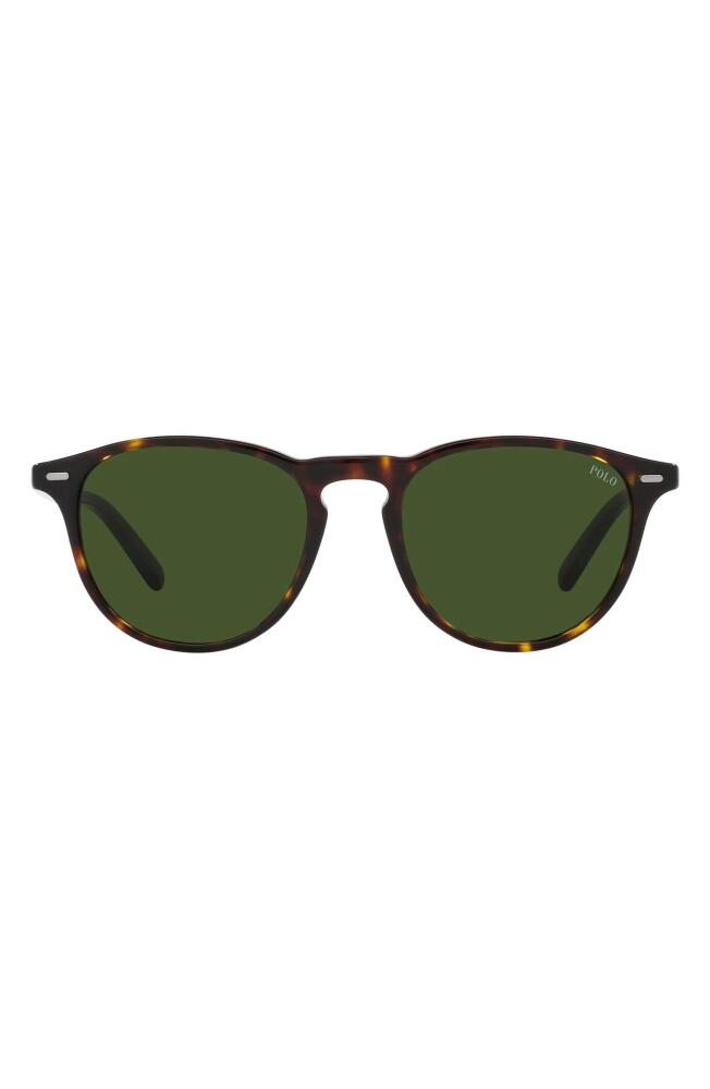 Polo Ralph Lauren 51mm Phantos Sunglasses in Green Cover