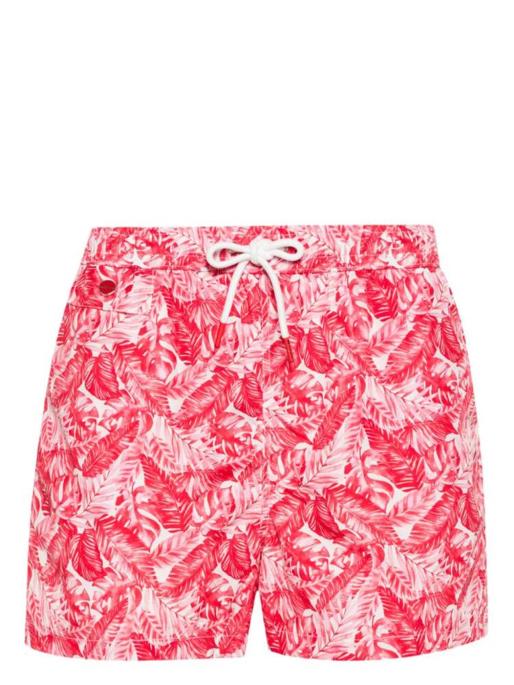 Kiton leaf-print swim shorts - Pink Cover