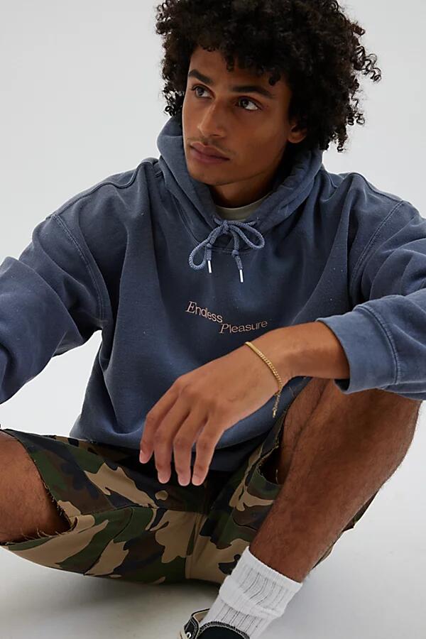 Endless Pleasure Embroidered Hoodie Sweatshirt in Pale Blue Cover