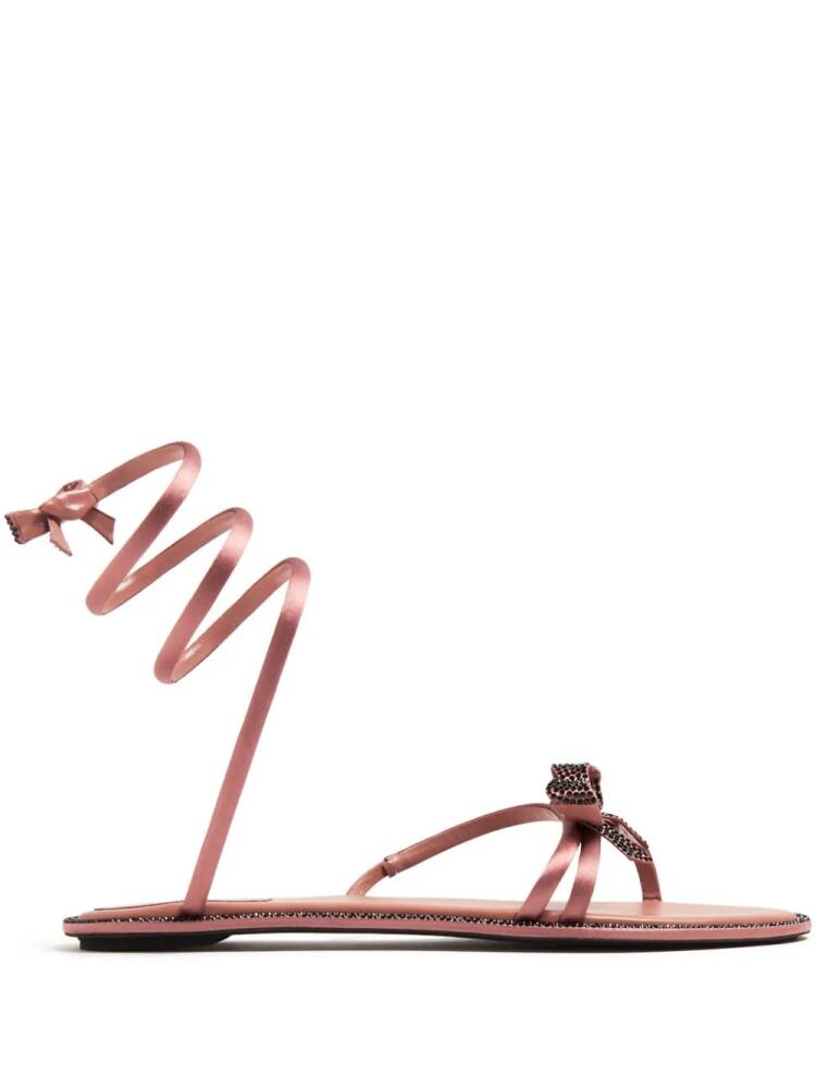 René Caovilla Cleo wraparound sandals - Pink Cover