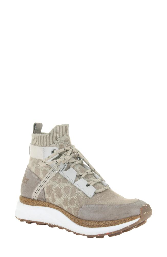 OTBT Hybrid High Top Platform Sneaker in Khaki Suede Cover