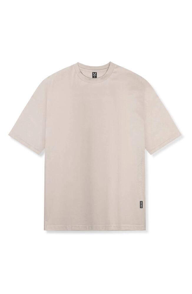 ASRV Stretch Supima Cotton Oversize T-Shirt in Chai Cover