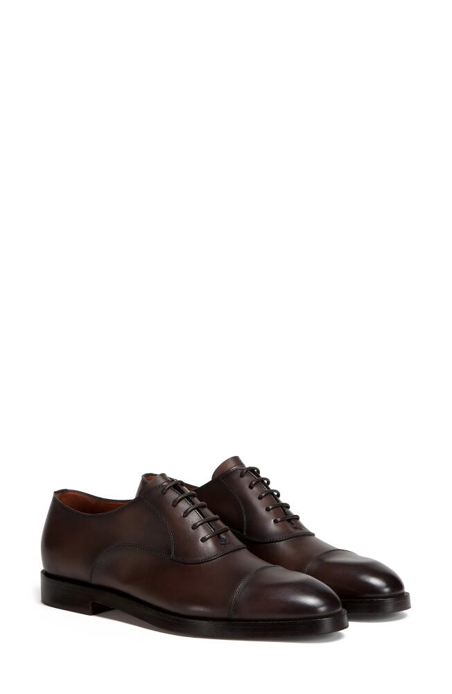 ZEGNA Torino Cap Toe Oxford in Dark Brown Cover