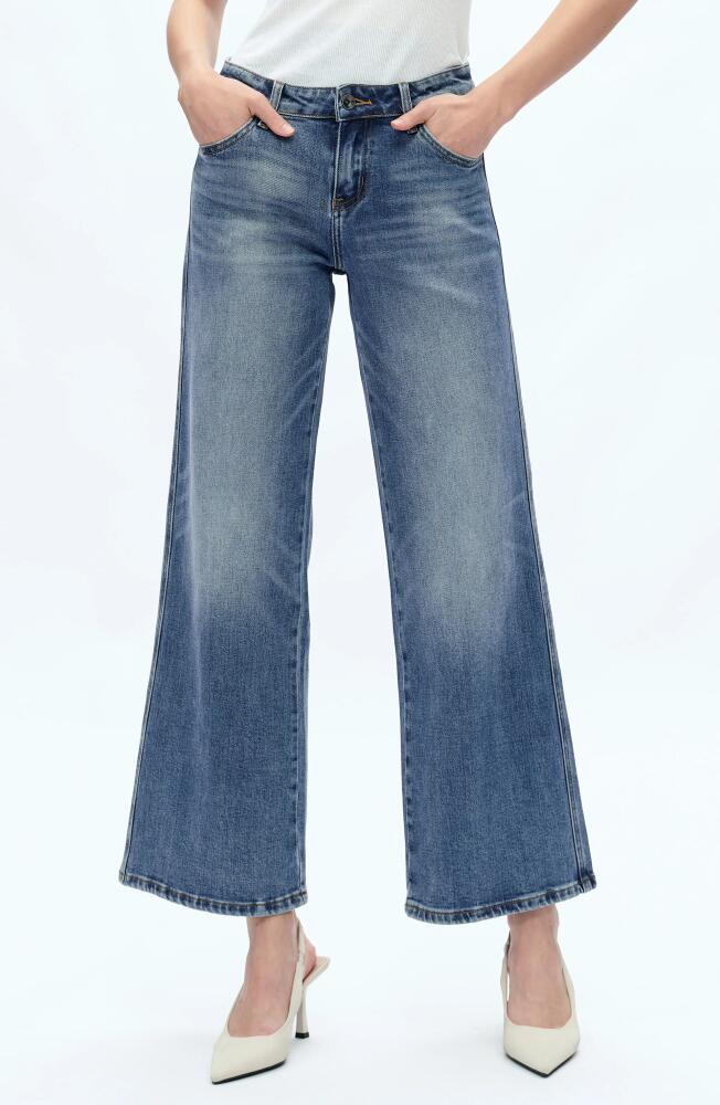 Bayeas Kristy Ankle Straight Leg Jeans in Chilly Blue Cover