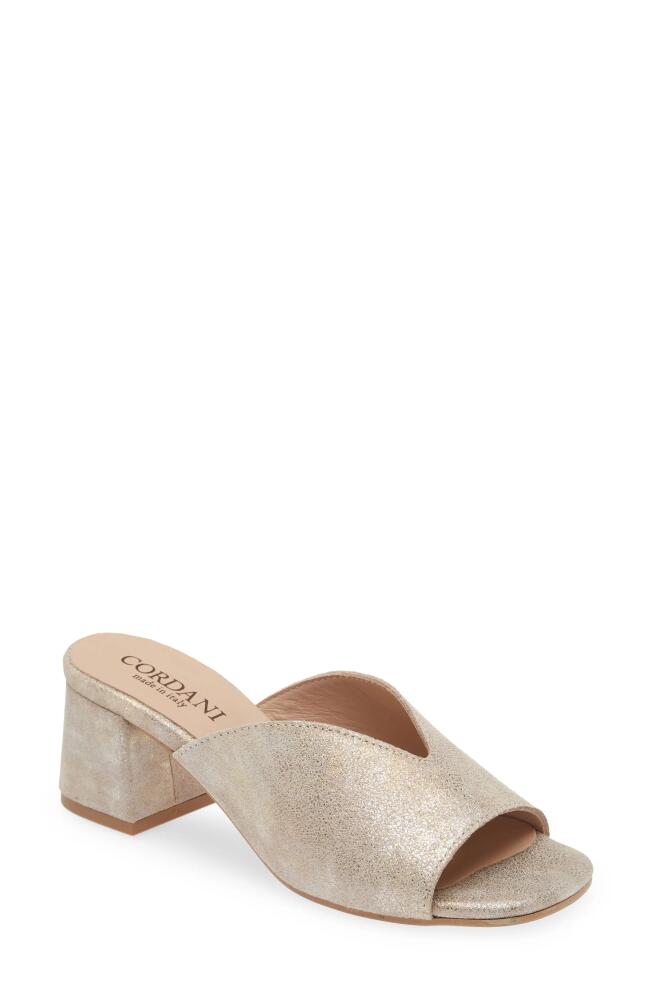 Cordani Pollie Slide Sandal in Granito Corda Cover