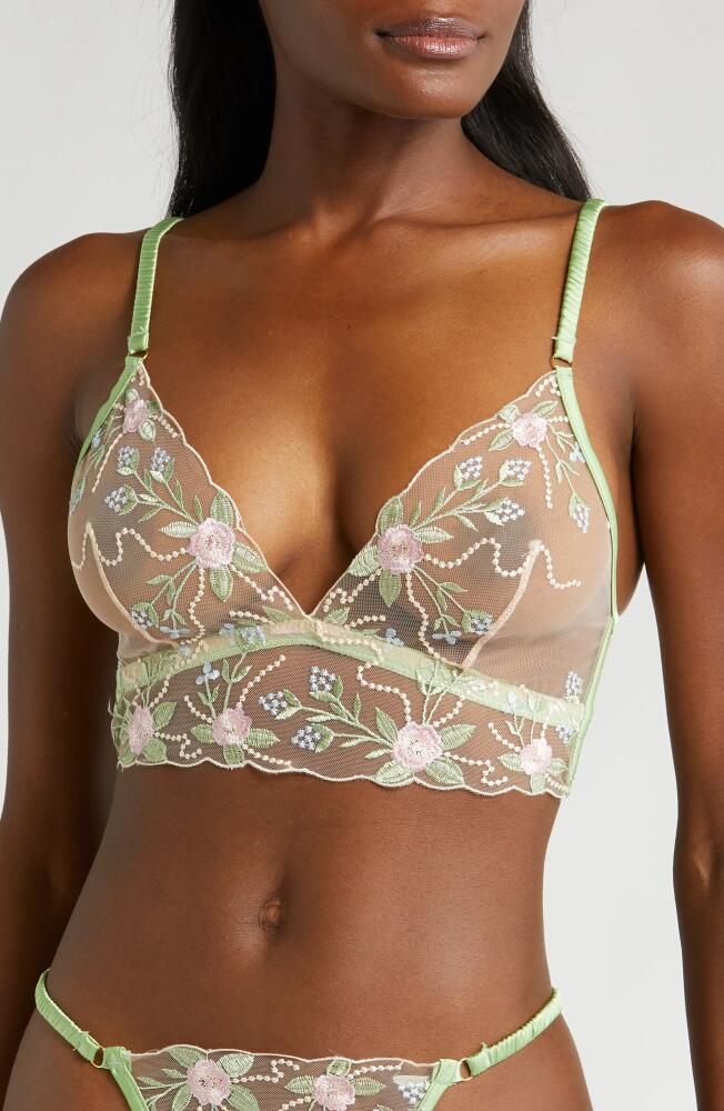 KILO BRAVA Floral Embroidered Longline Bralette in Doll Floral Cover