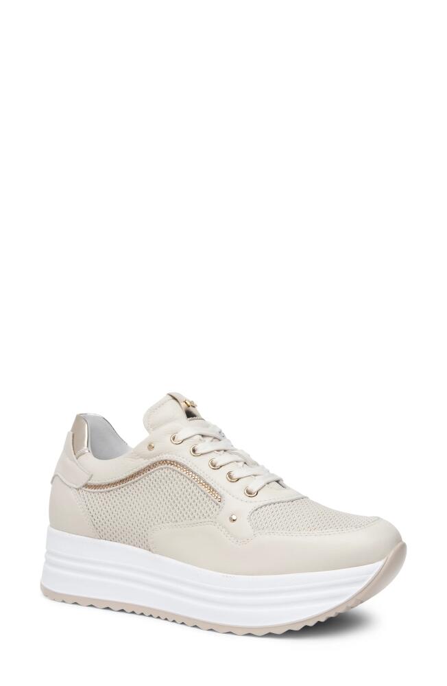 NeroGiardini Perfed Platform Sneaker in Beige/Khaki Cover