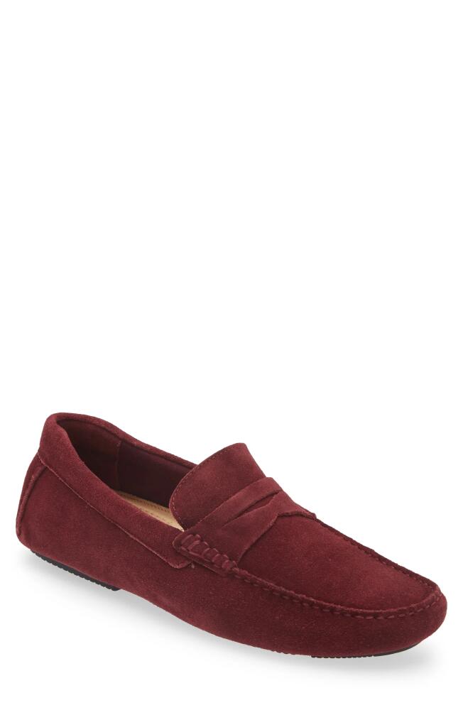 Nordstrom Cody Driving Loafer in Burgundy Brick Cover