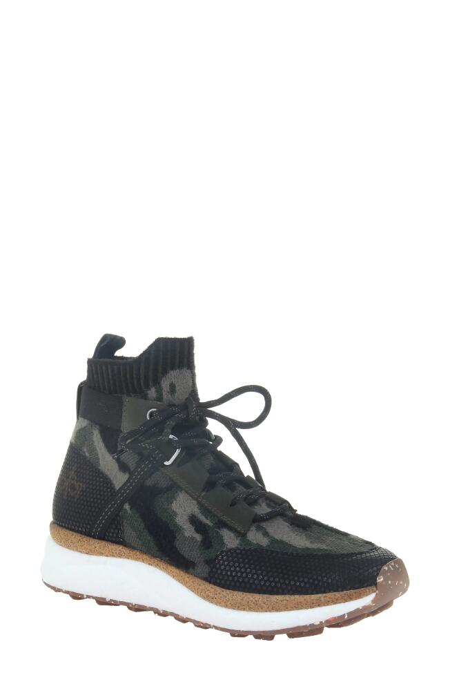 OTBT Hybrid High Top Platform Sneaker in Pine Suede Cover