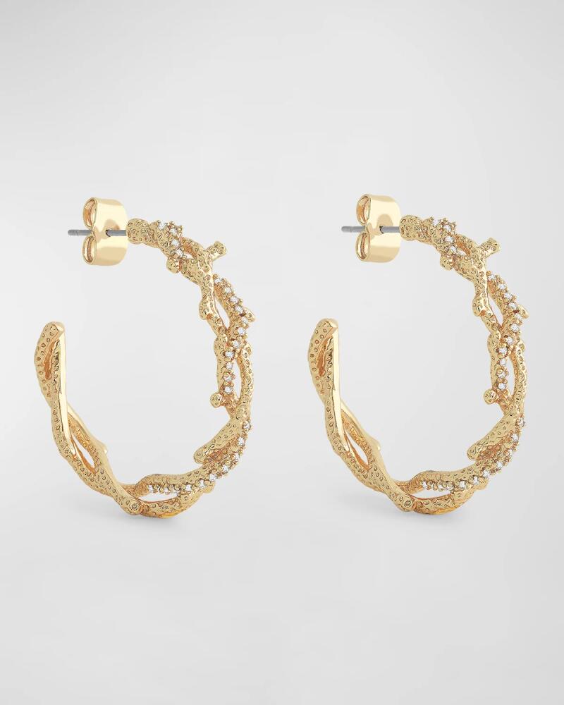 Anabel Aram Jewelry Coral Hoop Earrings Cover