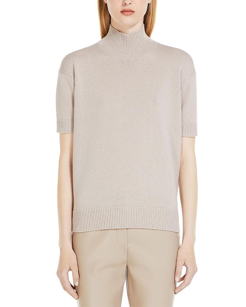 Max Mara Paola Turtleneck Sweater Cover