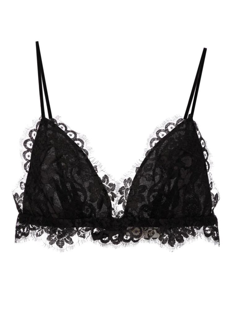 ZIMMERMANN illustration lace bralette - Black Cover