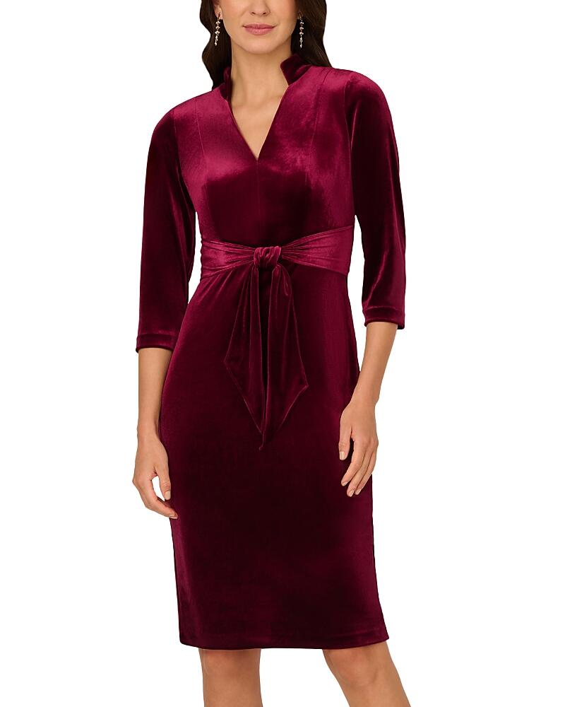 Adrianna Papell Velvet Sheath Dress Cover