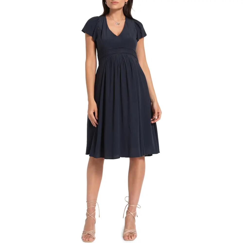 Seraphine Flutter Sleeve Maternity/Nursing Dress in Navy Cover