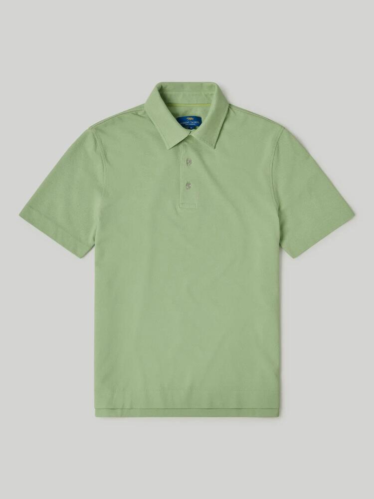 Robert Talbott Walker Short Sleeve Polo in Spring Green Cover