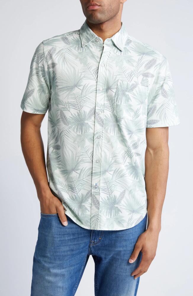 Tommy Bahama San Lucio Fallen Fronds Short Sleeve Button-Up Shirt in Paradise Green Cover