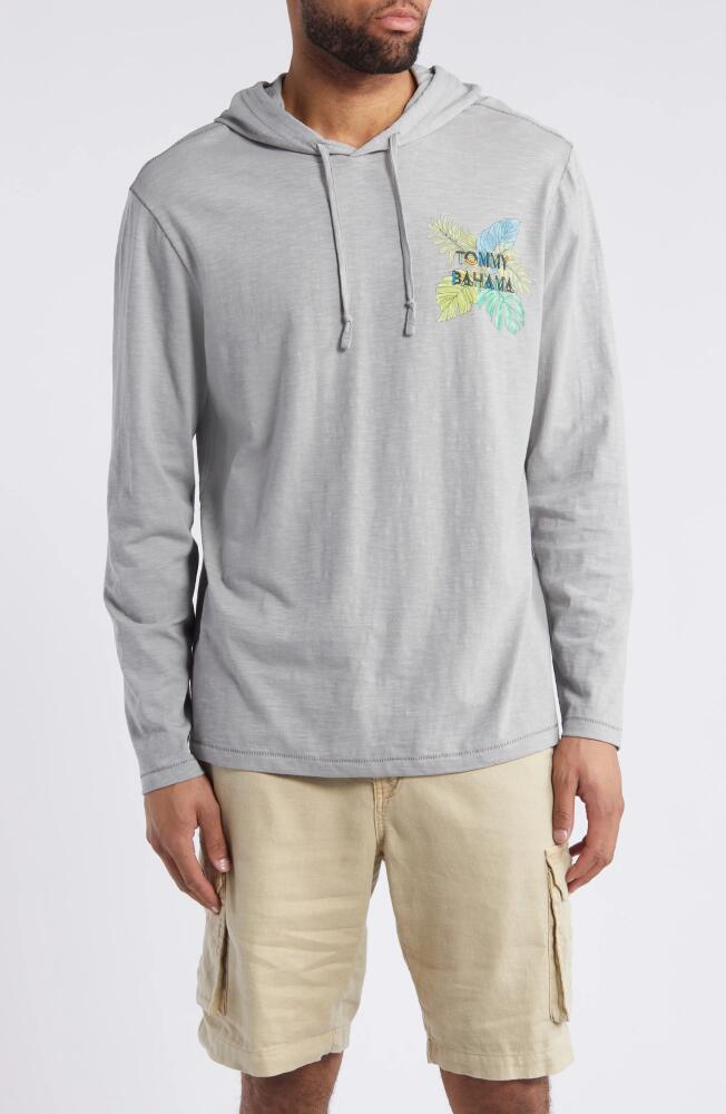 Tommy Bahama Who Can Toucan Lux Organic Cotton Hoodie in Ultimate Gray Cover