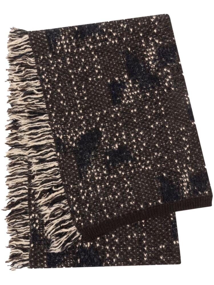 DRIES VAN NOTEN jacquard alpaca-wool scarf - Brown Cover