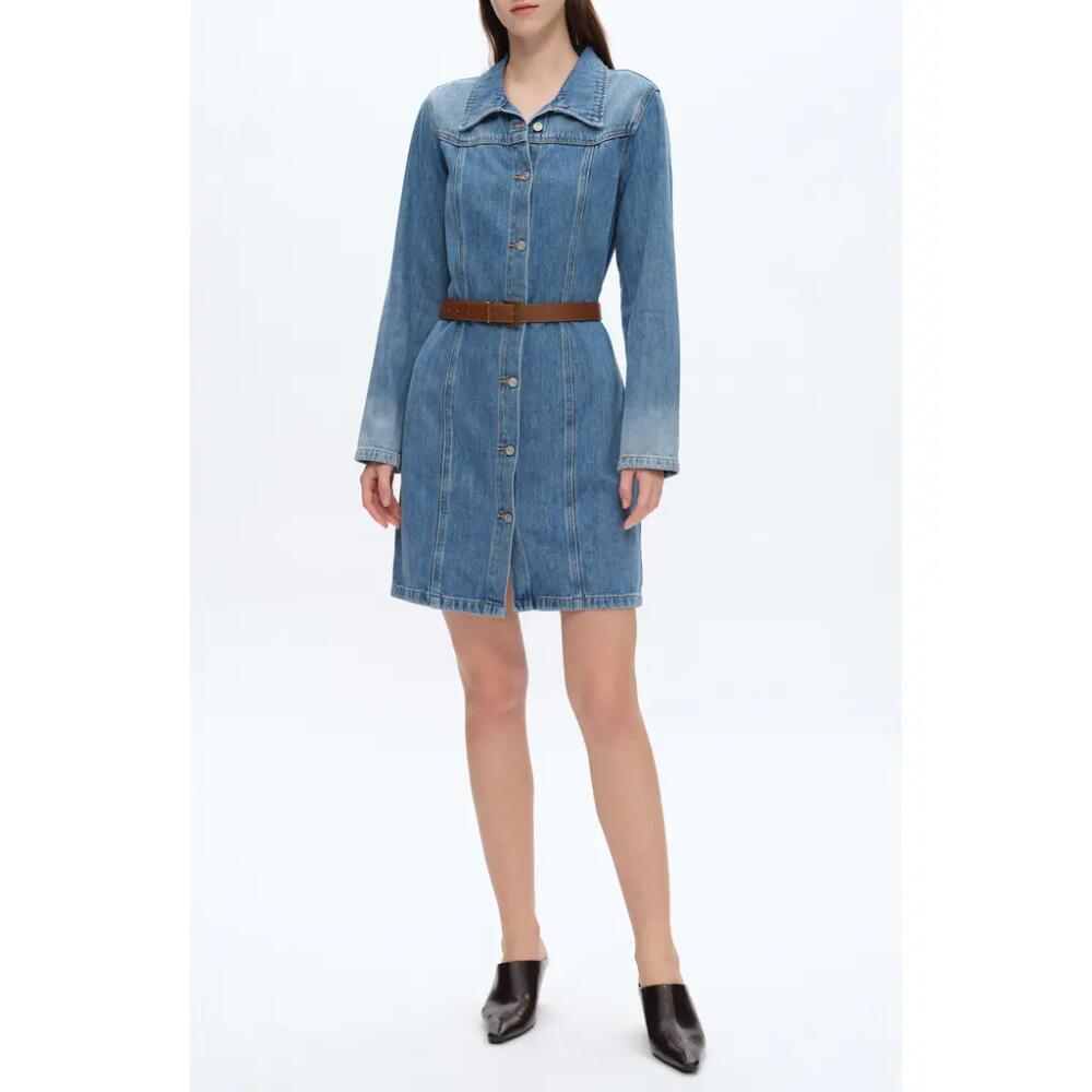 Bayeas Long Sleeve Denim Shirtdress in Midnight Thunder Cover