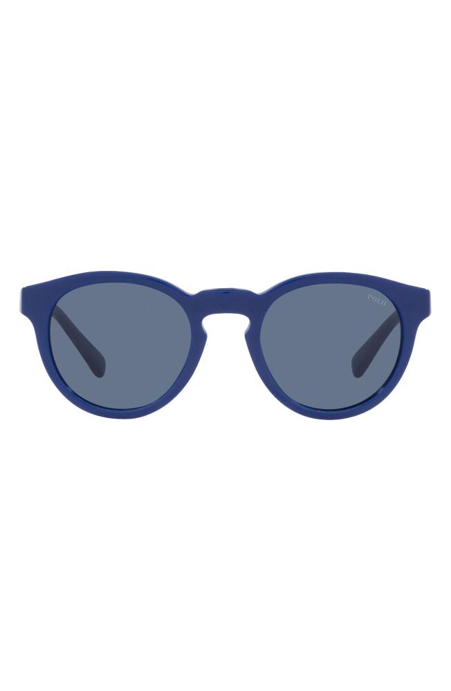 Polo Ralph Lauren 49mm Round Sunglasses in Royal Blue Cover