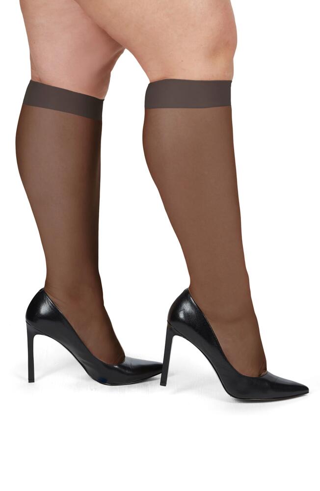 MeMoi Silky Sheer Knee High Socks in Off Black Cover