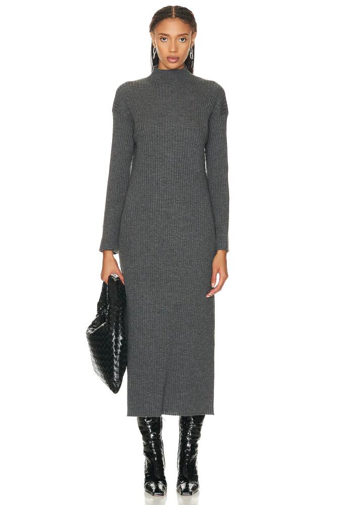 Loulou Studio Altra Turtleneck Long Dress in Charcoal Cover