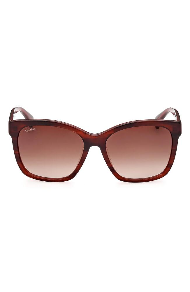 Max Mara 56mm Gradient Square Sunglasses in Shiny Bilayer Red Horn Opal Cover