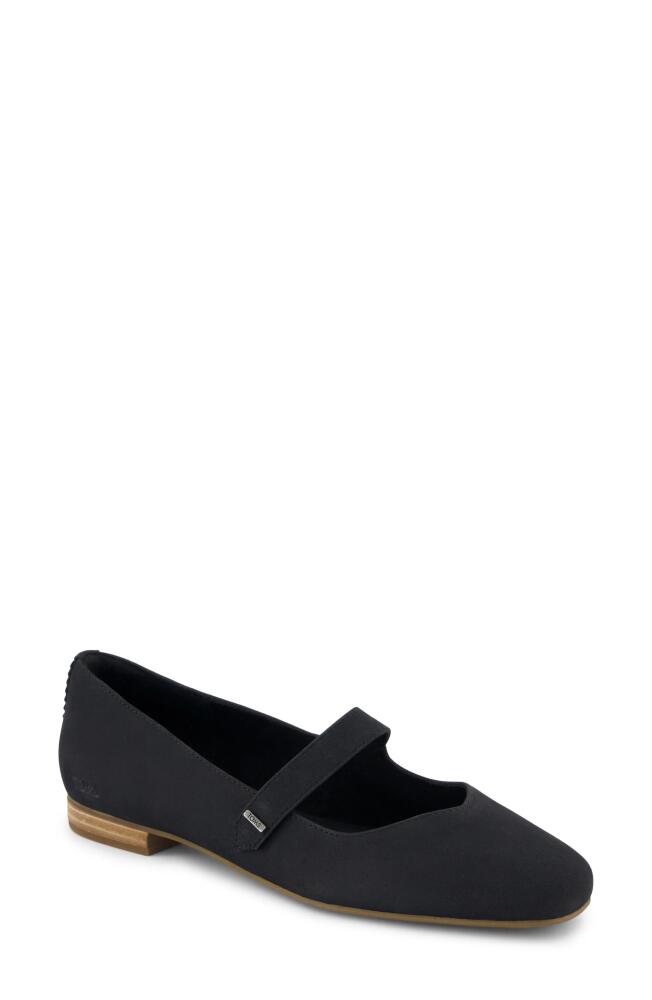 TOMS Bianca Mary Jane Flat in Black Cover