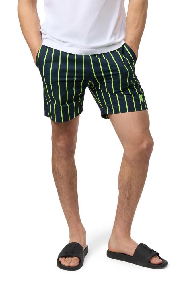 Psycho Bunny Alton Stripe Swim Trunks in Navy Cover