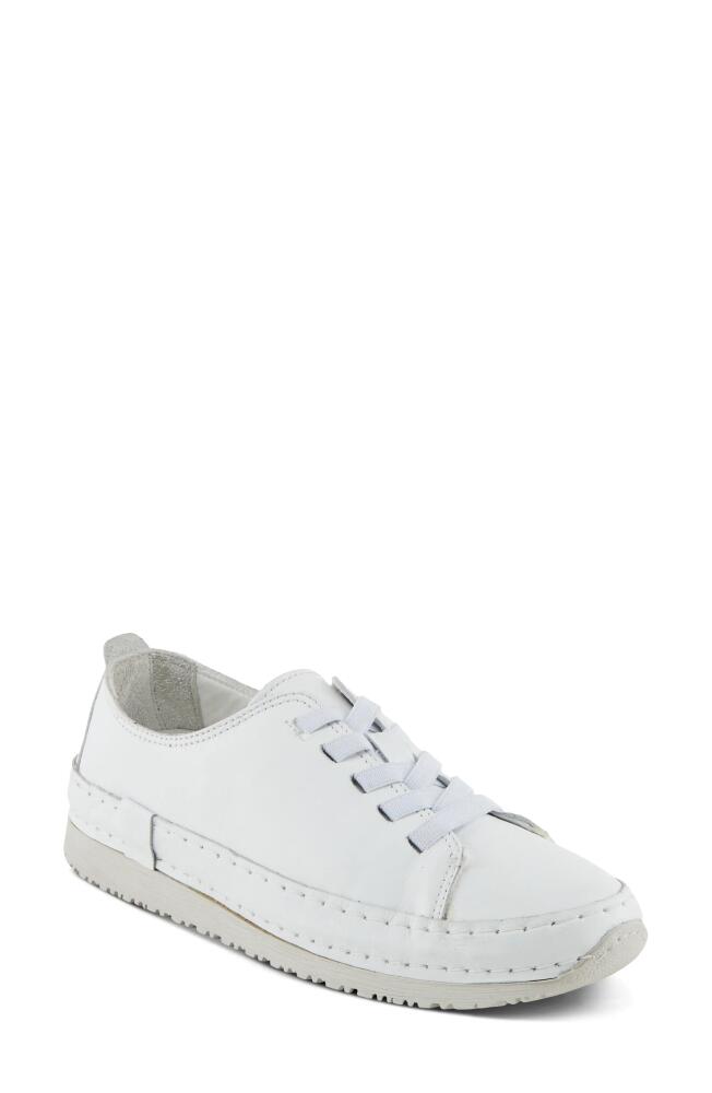 Spring Step Abeck Sneaker in White Cover