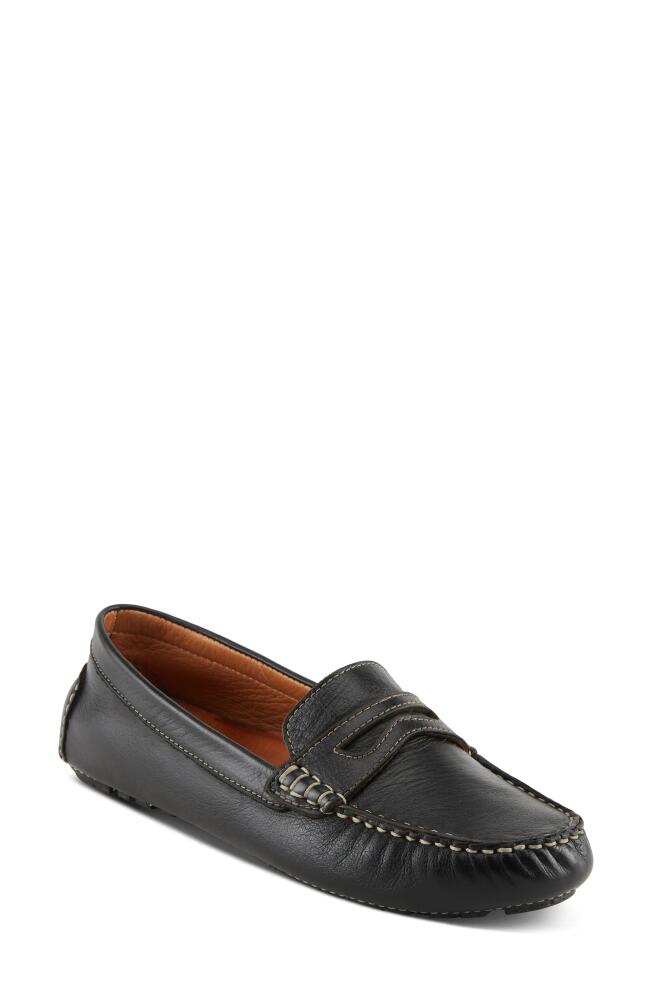 Spring Step Audette Penny Loafer in Black Cover