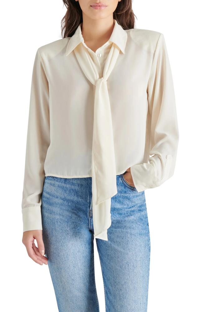 Steve Madden Noelle Tie Neck Shirt in Cream Cover