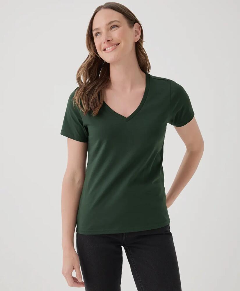 Pact Organic Cotton Softspun V-Neck Tee in Mountain View Cover