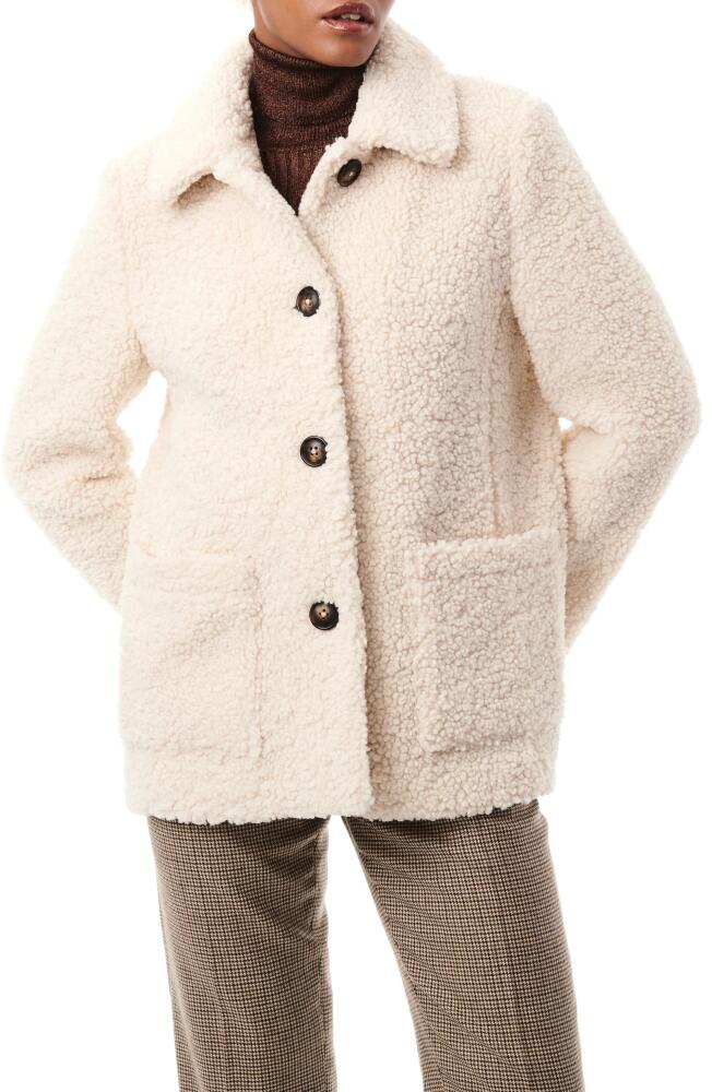 Bernardo Cozy Faux Shearling Barn Jacket in Cream Cover