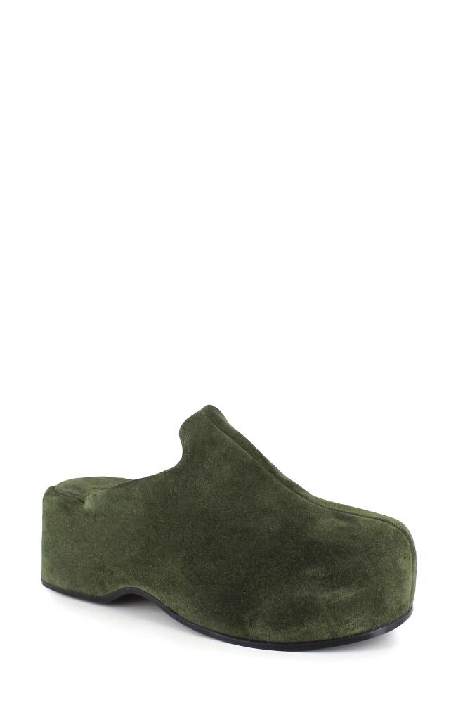 ZIGI Kristen Platform Clog in Green Cover