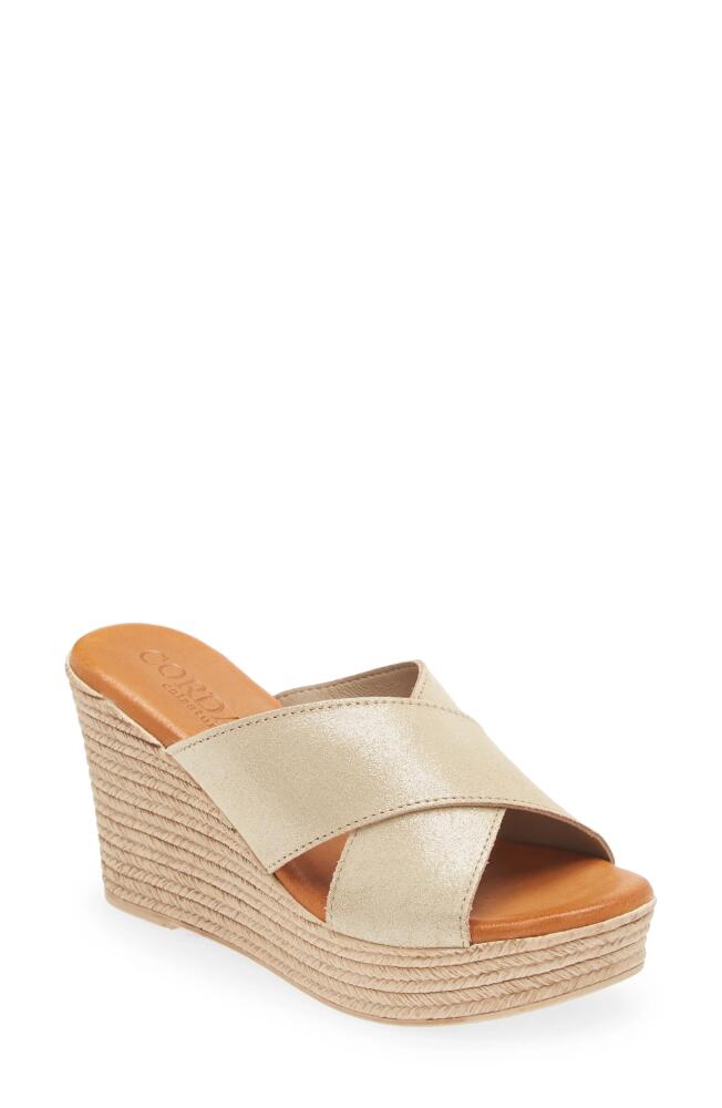 Cordani Braylin Espadrille Wedge Sandal in Soft Gold Suede Cover